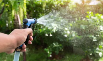 watering plants with hose