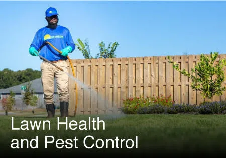 lawn health and pest control
