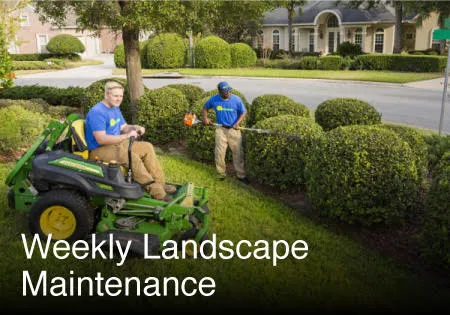 weekly landscape maintenance