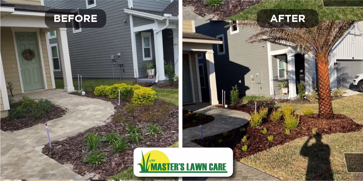 before and after project spotlight tropical makeover