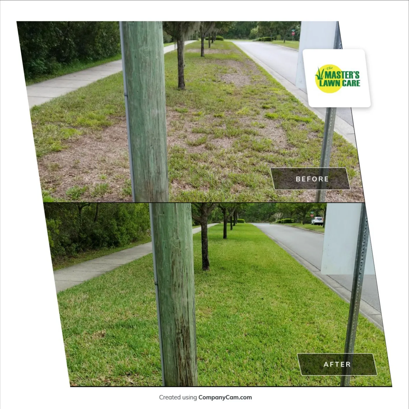 before and after lawn health