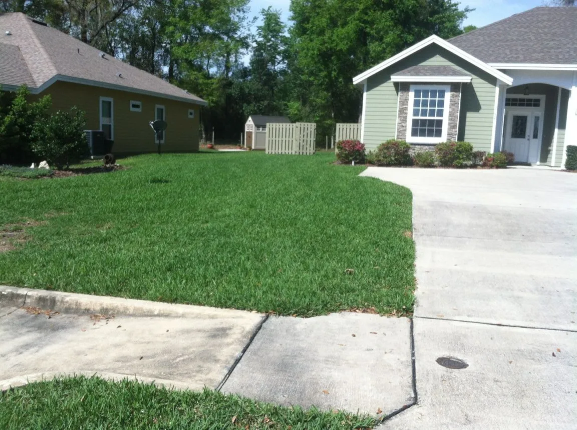 4 Lawn Care Services to Consider This Year in the Silverleaf and World Golf Village, FL Areas