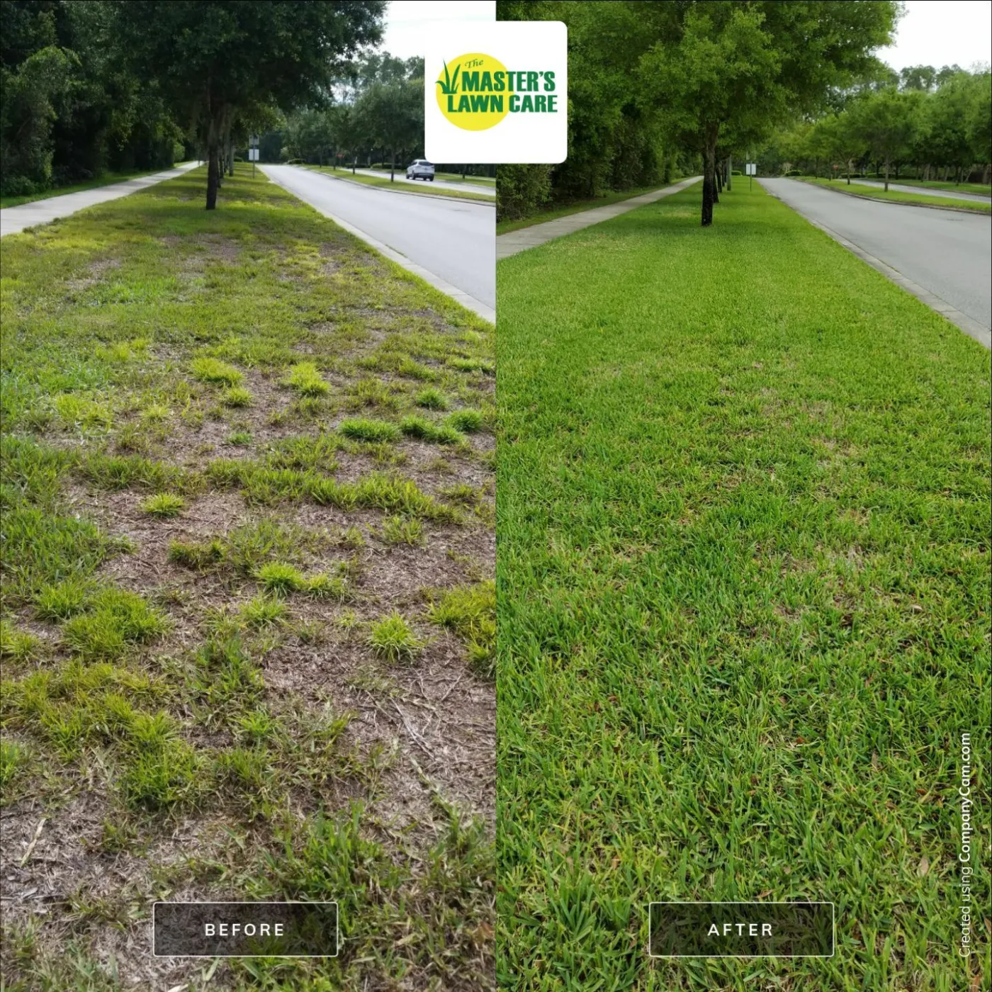 before and after lawn health