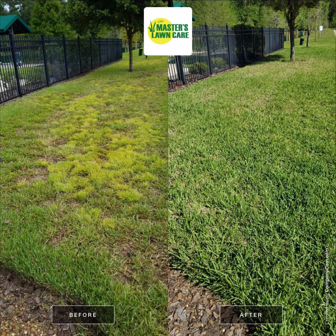 before and after lawn health