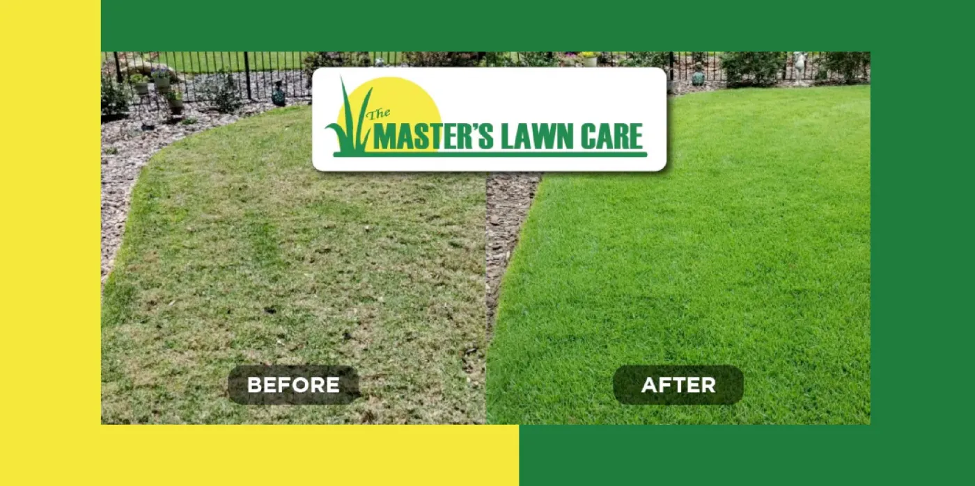 before and after lawn turnaround