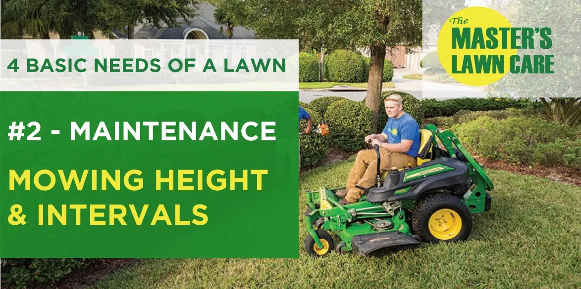 lawn maintenance proper mowing height and intervals