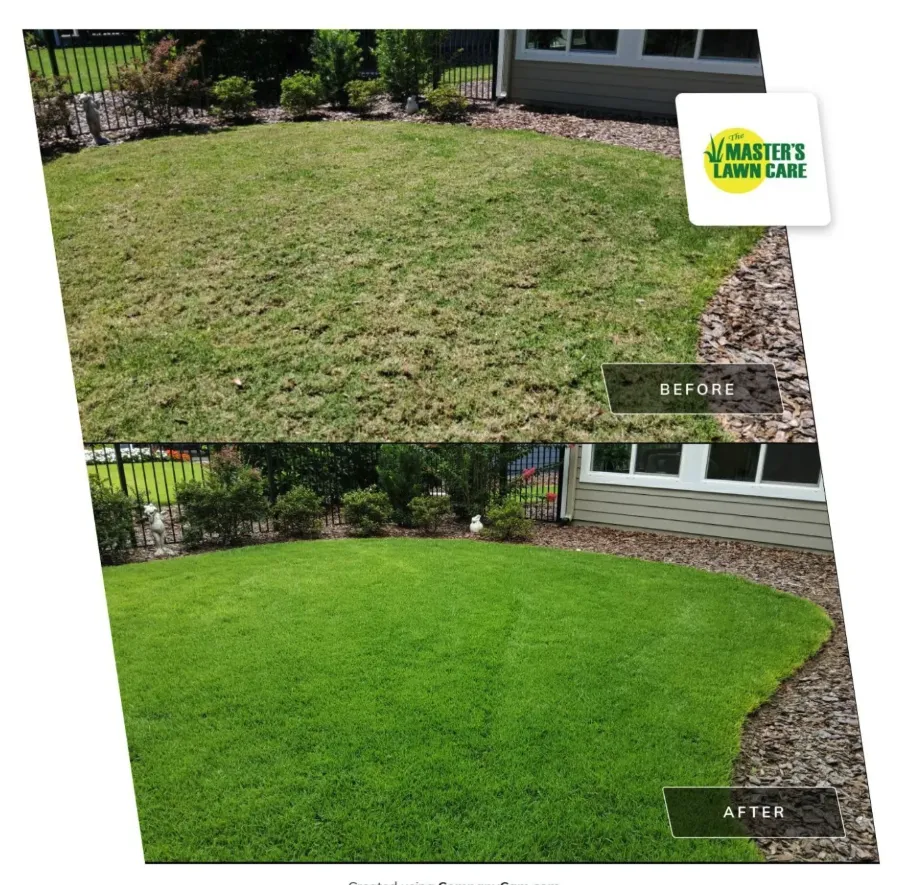 before and after lawn health