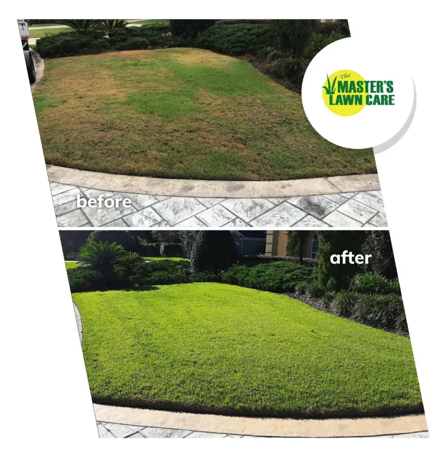 before and after lawn health