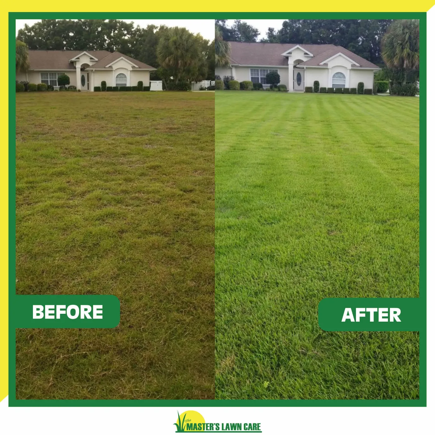 lawn health renovation before and after