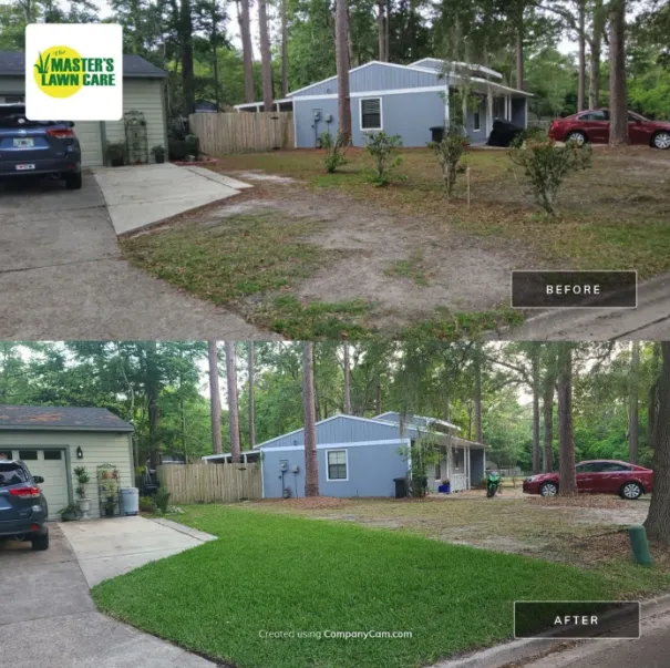 before and after lawn health