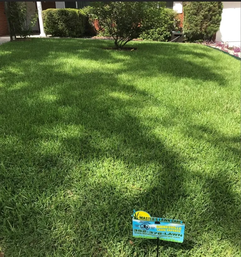 Trust the Experts in Lawn Care to Achieve Healthy and Lush Grass in the Newberry and High Springs, FL Areas