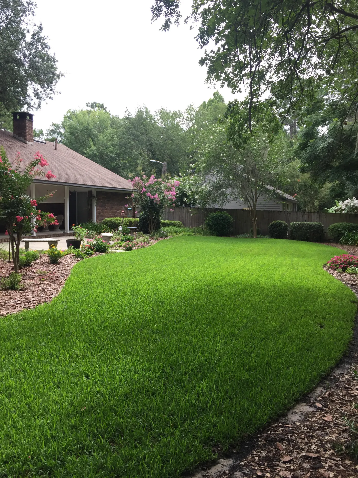 Do You Know the Top Benefits of 'Lawn Service Near Me' in Nocatee and High Springs, FL? 