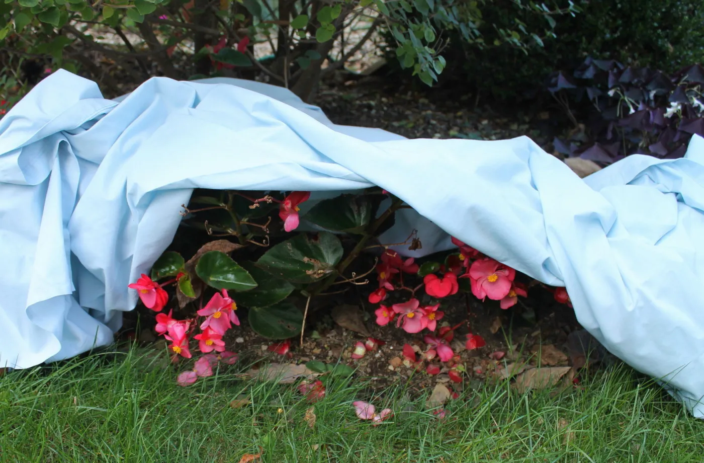 Frost covering for plants