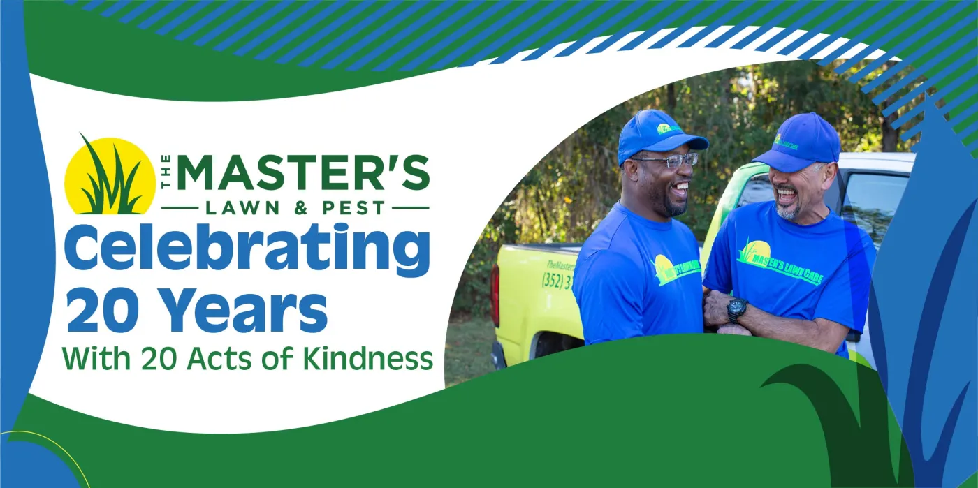 celebrating 20 years with 20 acts of kindness