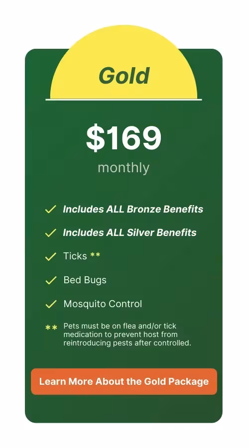 Effective pest control in Nocatee, FL - Gold Package