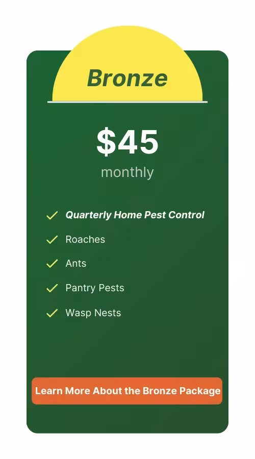 Expert pest control in St. Augustine, FL - Bronze Package