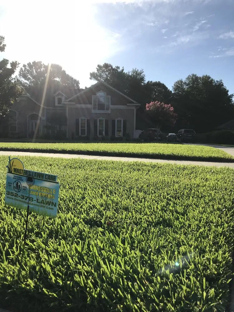 Optimize Your Landscape's Health in St. Augustine, FL With Smart ...