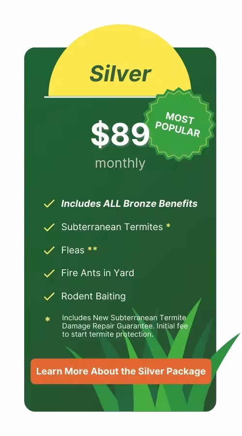 Top pest control in Palm Valley, FL - Silver Package