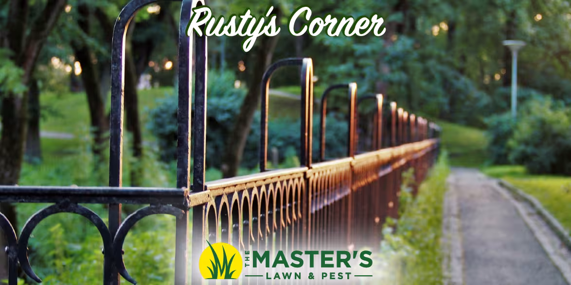 wrought iron fence