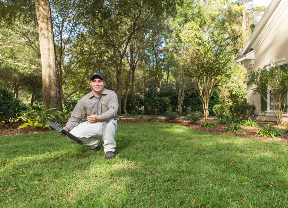 lawn service and lawn fertilization st. augustine fl