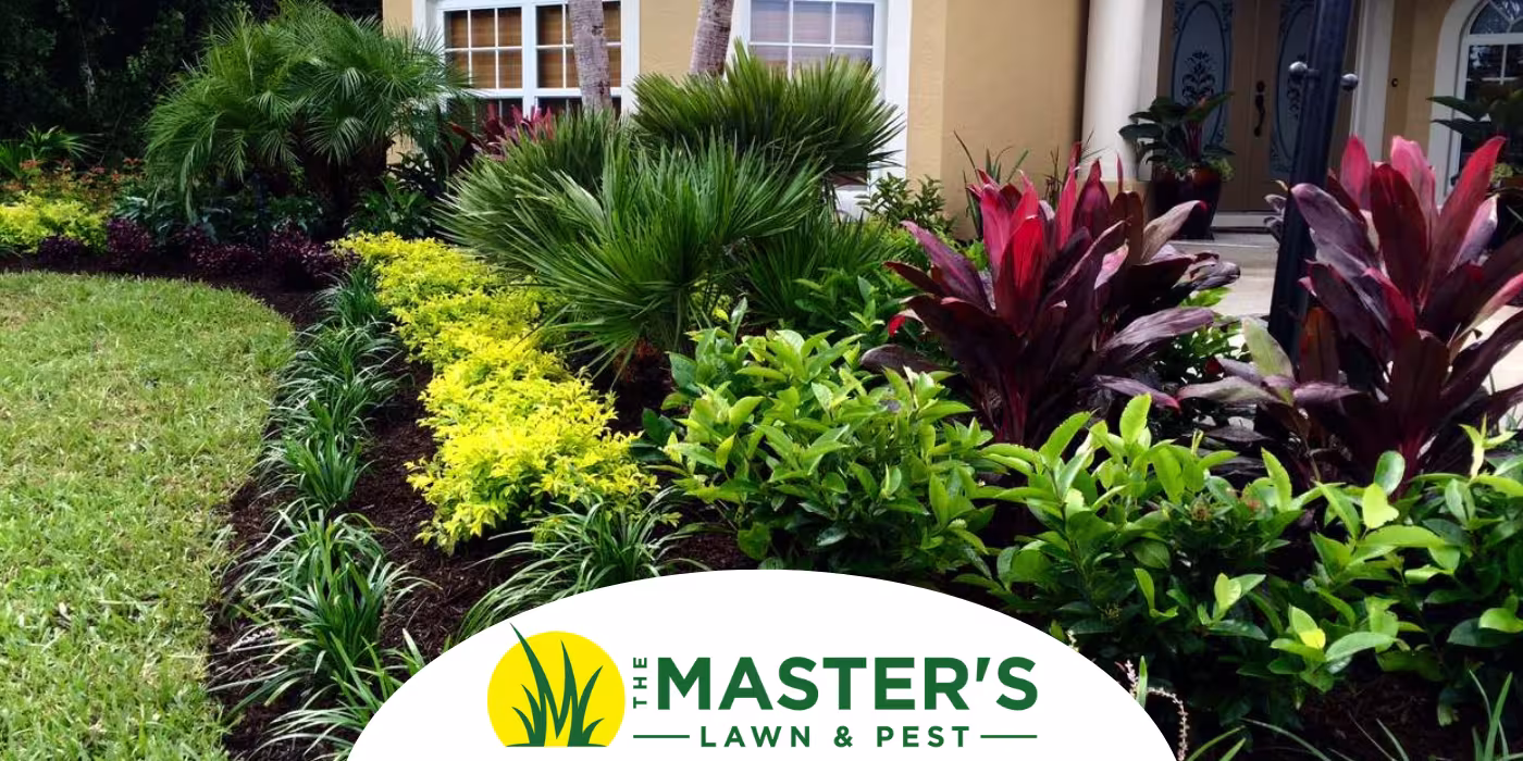 spring landscape plants in front of house