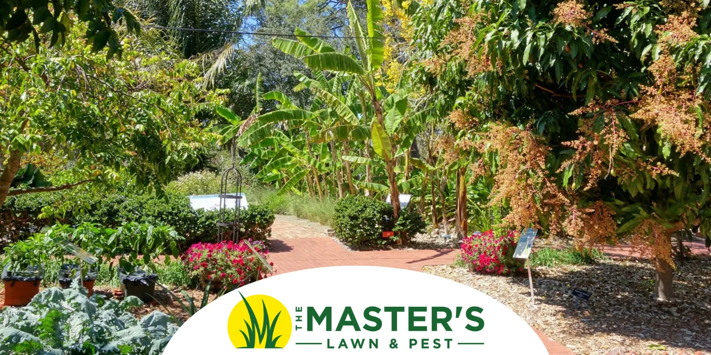  Discover the magic of Florida-Friendly Landscaping in Nocatee – a lifestyle choice that conserves water, protects ecosystems, and creates stunning landscapes!