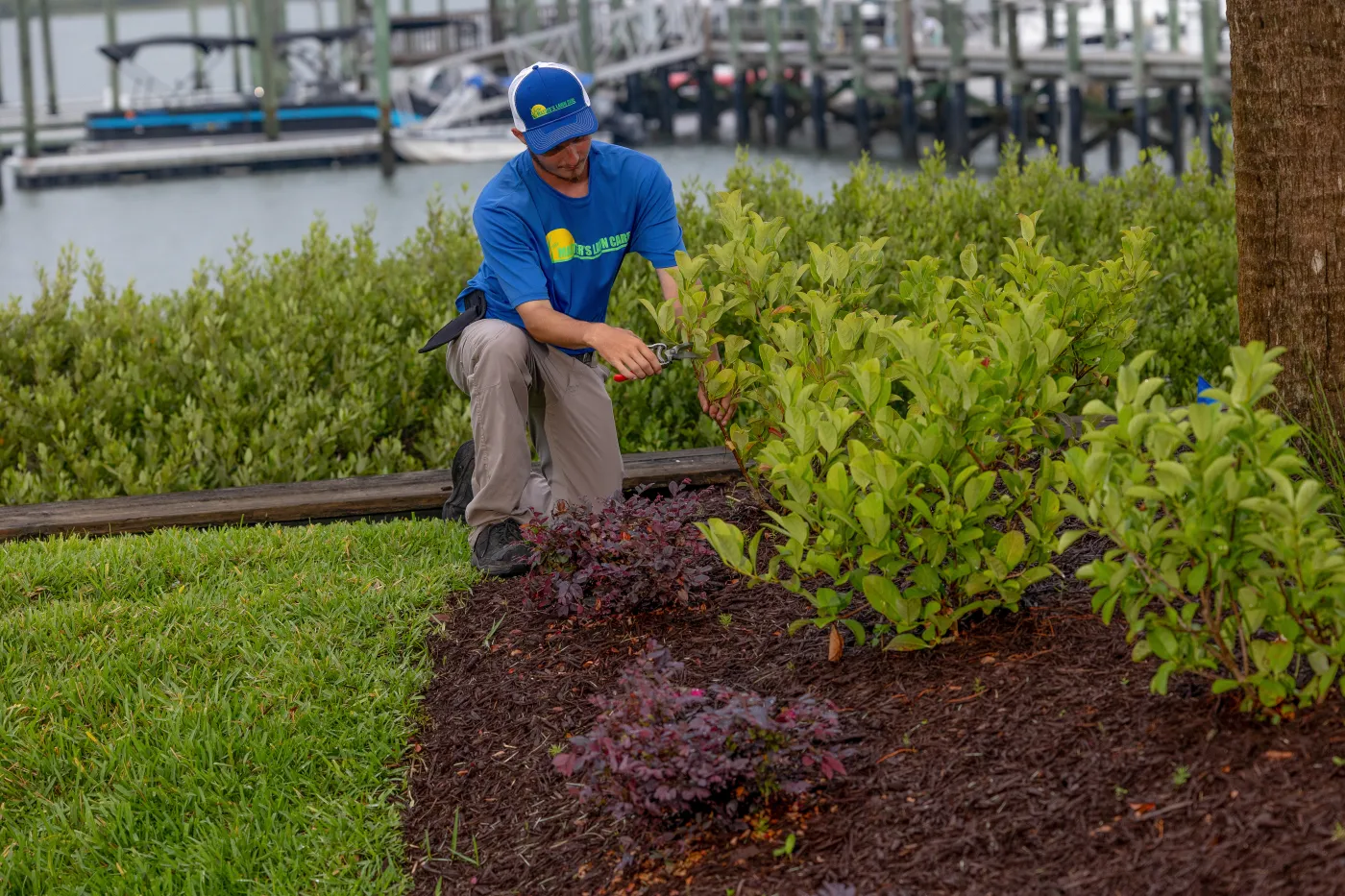 lawn service st. augustine fl