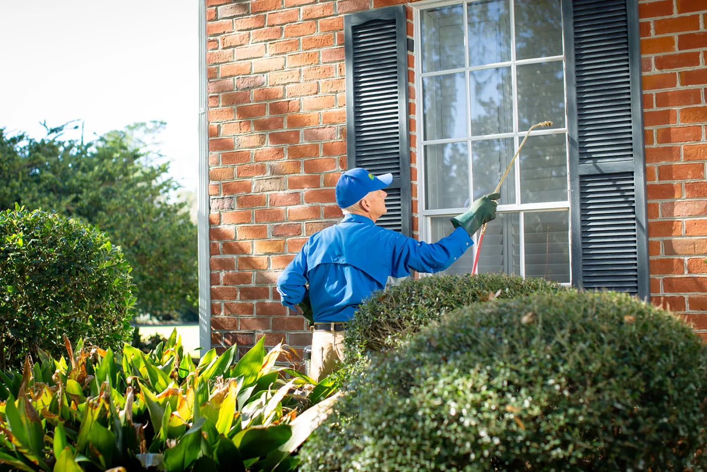 pest control st. augustine fl