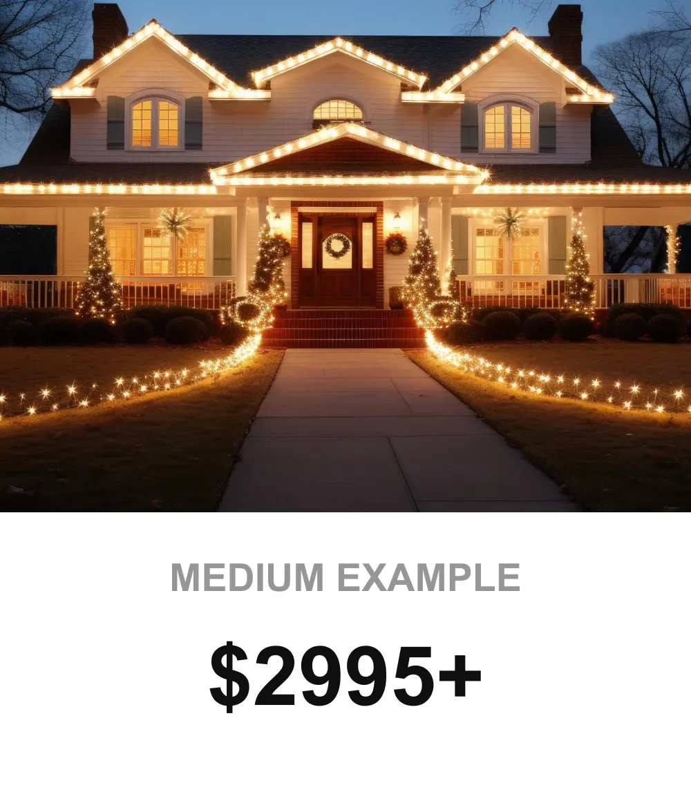 The Masters Lawn Care - Christmas & Holiday Lights