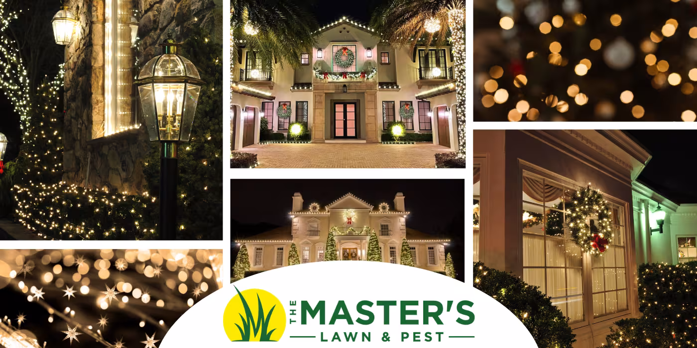 Holiday and Christmas Lighting North Florida The Masters Lawn and Pest