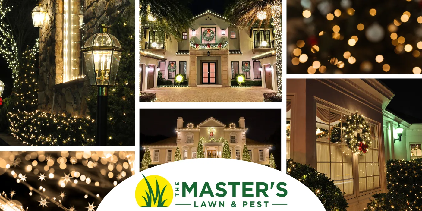 Holiday and Christmas Lighting North Florida The Masters Lawn and Pest