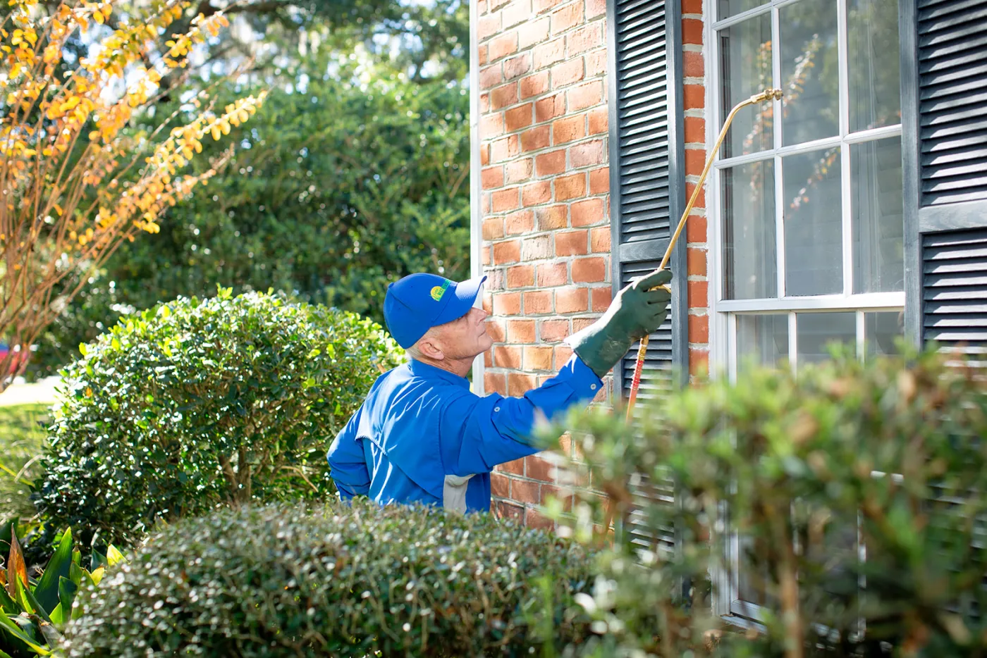 pest control alachua fl