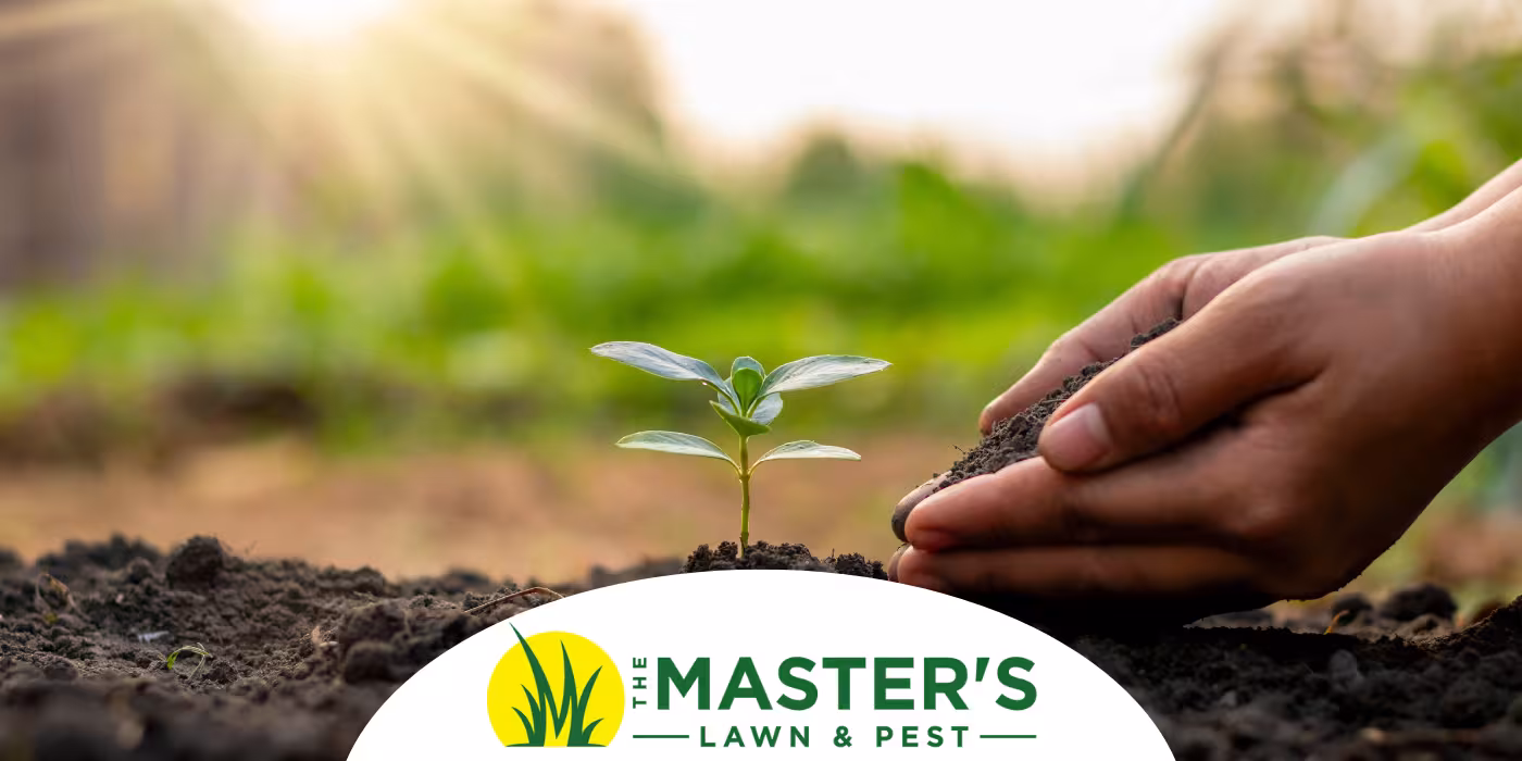 The Key to Healthy Soil