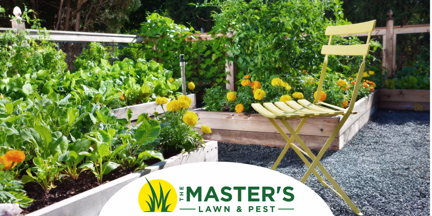 Love Your Lawn Again: Landscape Trends We’re Seeing for 2025