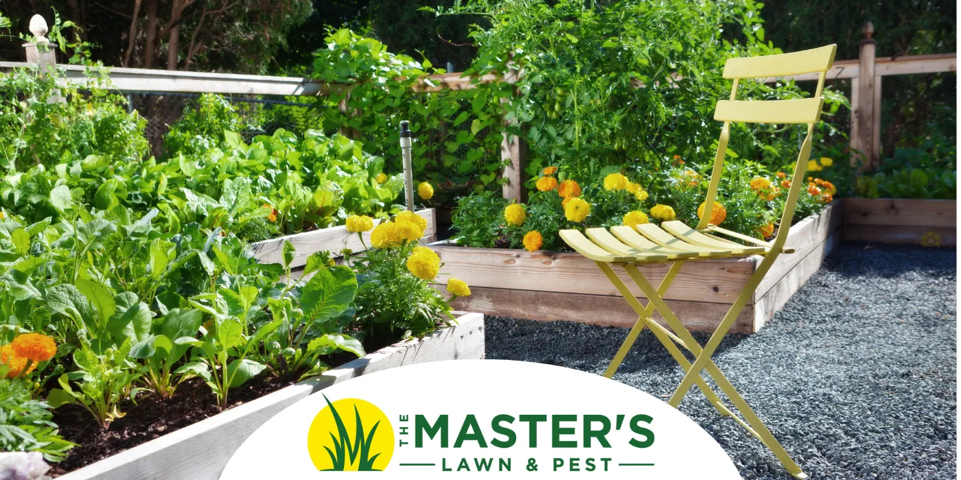 Love Your Lawn Again: Landscape Trends We’re Seeing for 2025