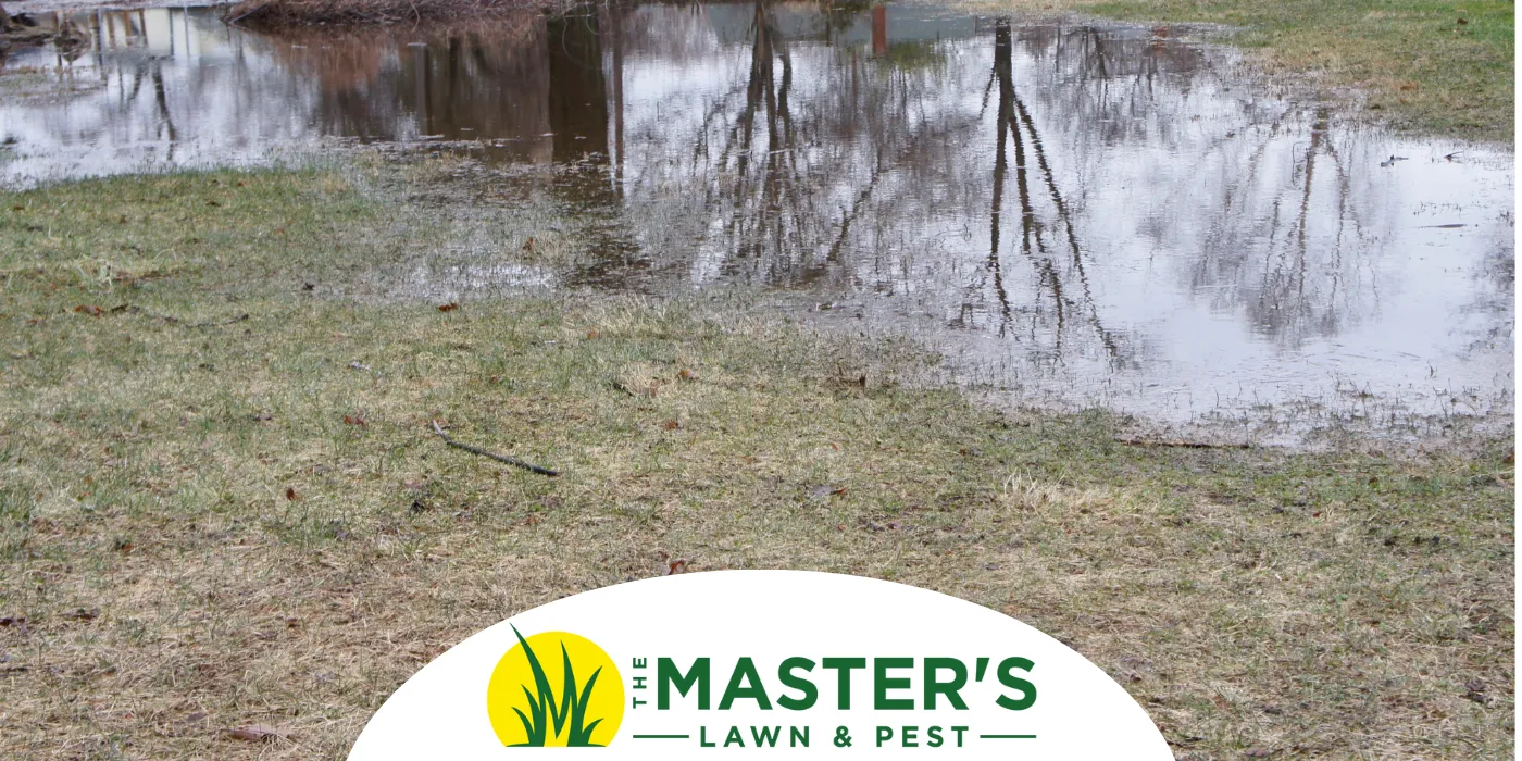 drainage issues?