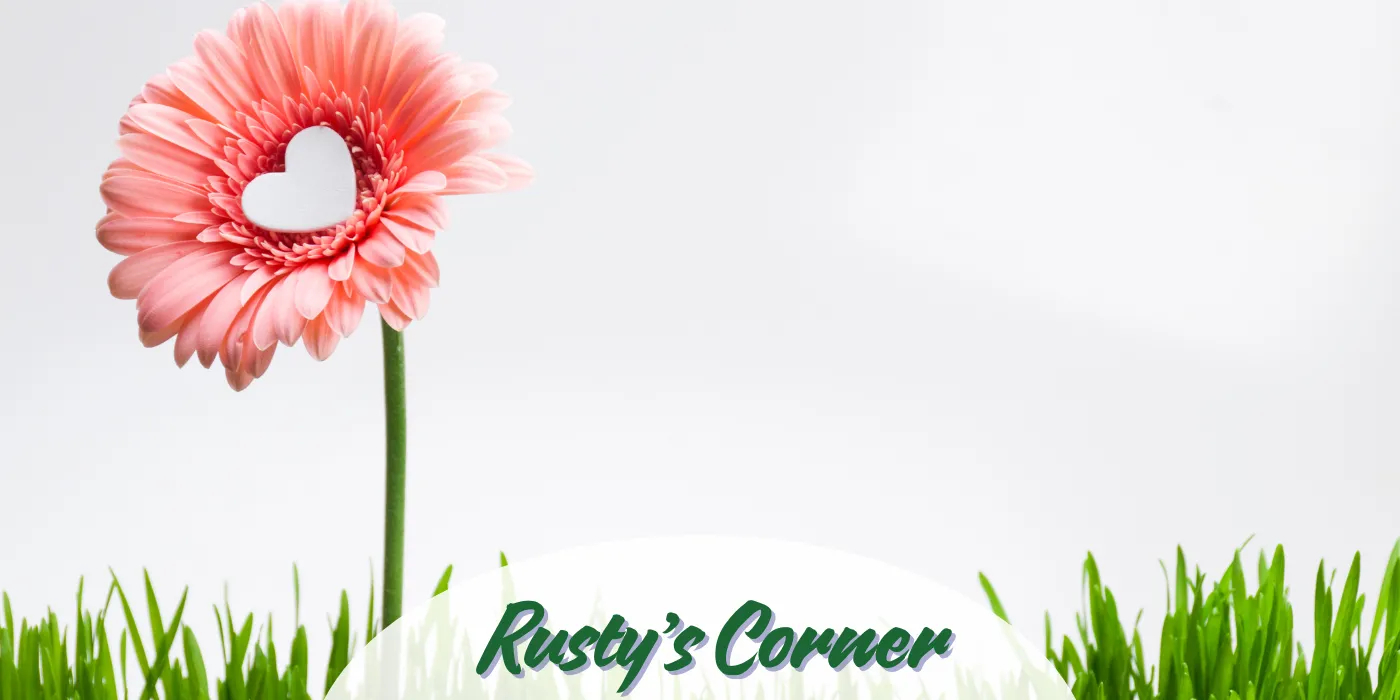 Rustys Corner : Its Cool to Care