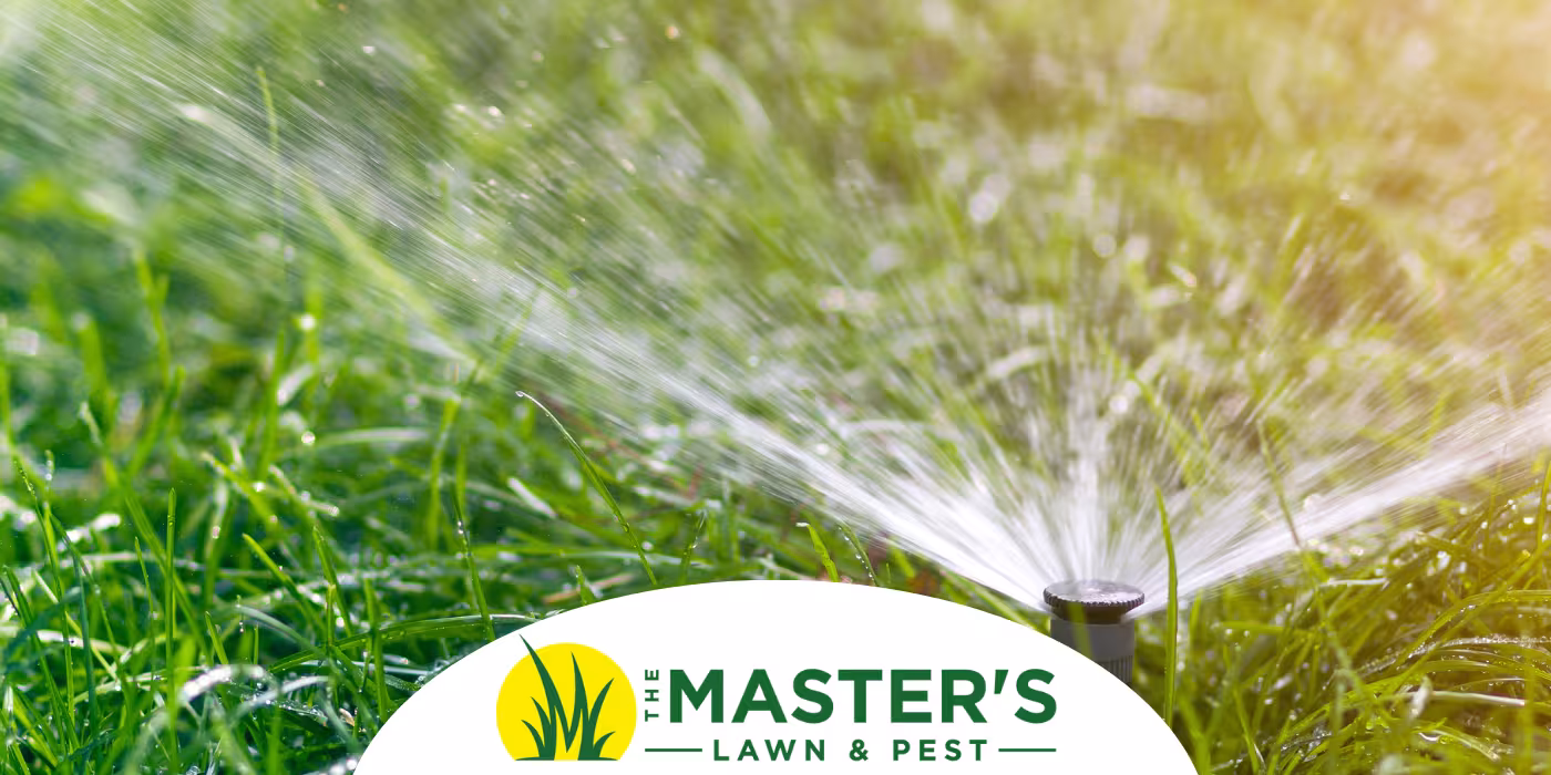 Is Your Lawn Too Dry or Too Wet? How to Tell Before and After the Storm