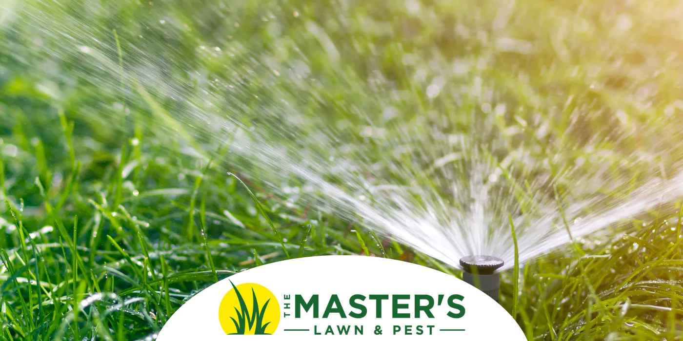 Is Your Lawn Too Dry or Too Wet? How to Tell Before and After the Storm