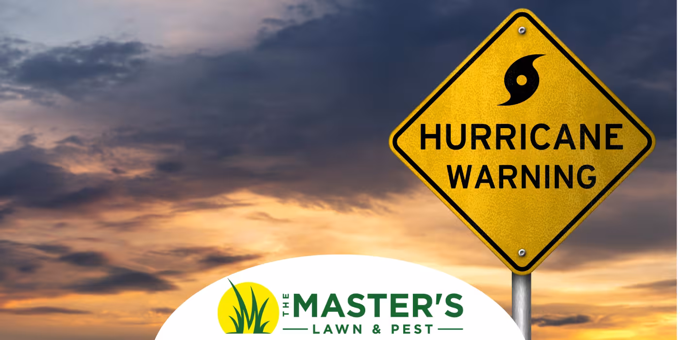 Hurricane Season