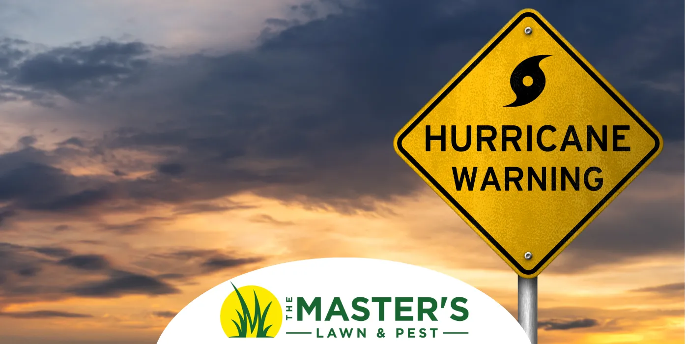 Hurricane Season