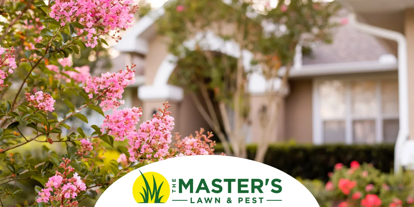 Fall landscape improvements