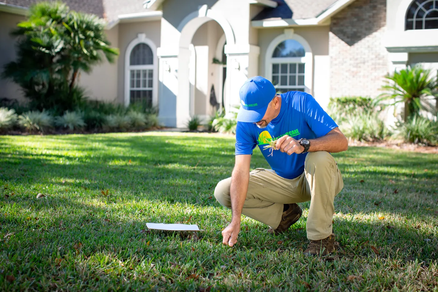 Palm Coast Lawn Care Experts
