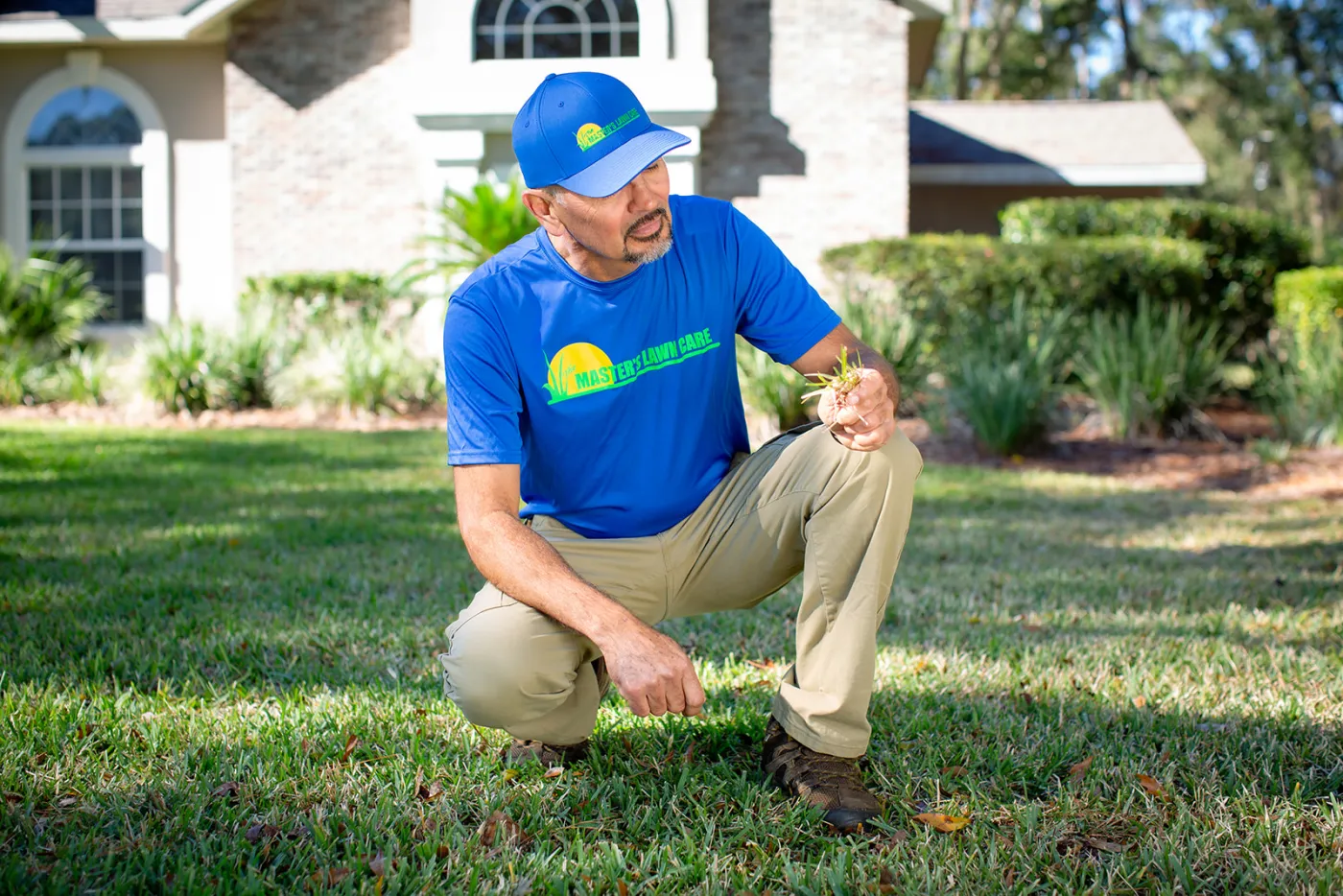 Palm Coast Lawn Care Experts