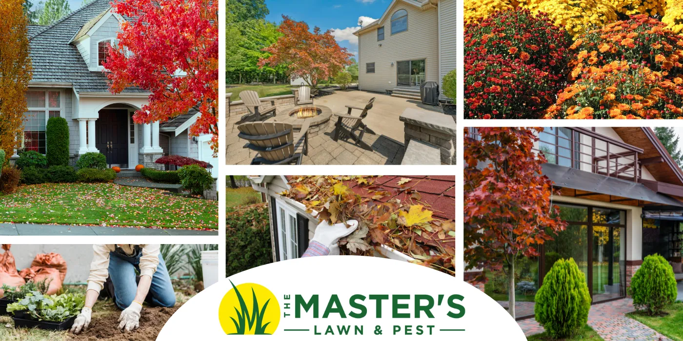 Fall Lawn Care in St. Augustine, Florida