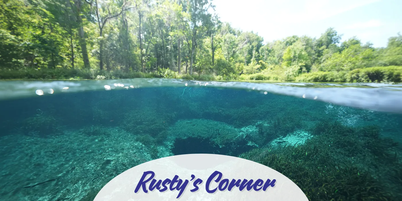 Don't miss North Florida's natural beauty