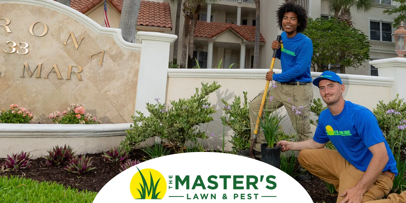 Landscape installation