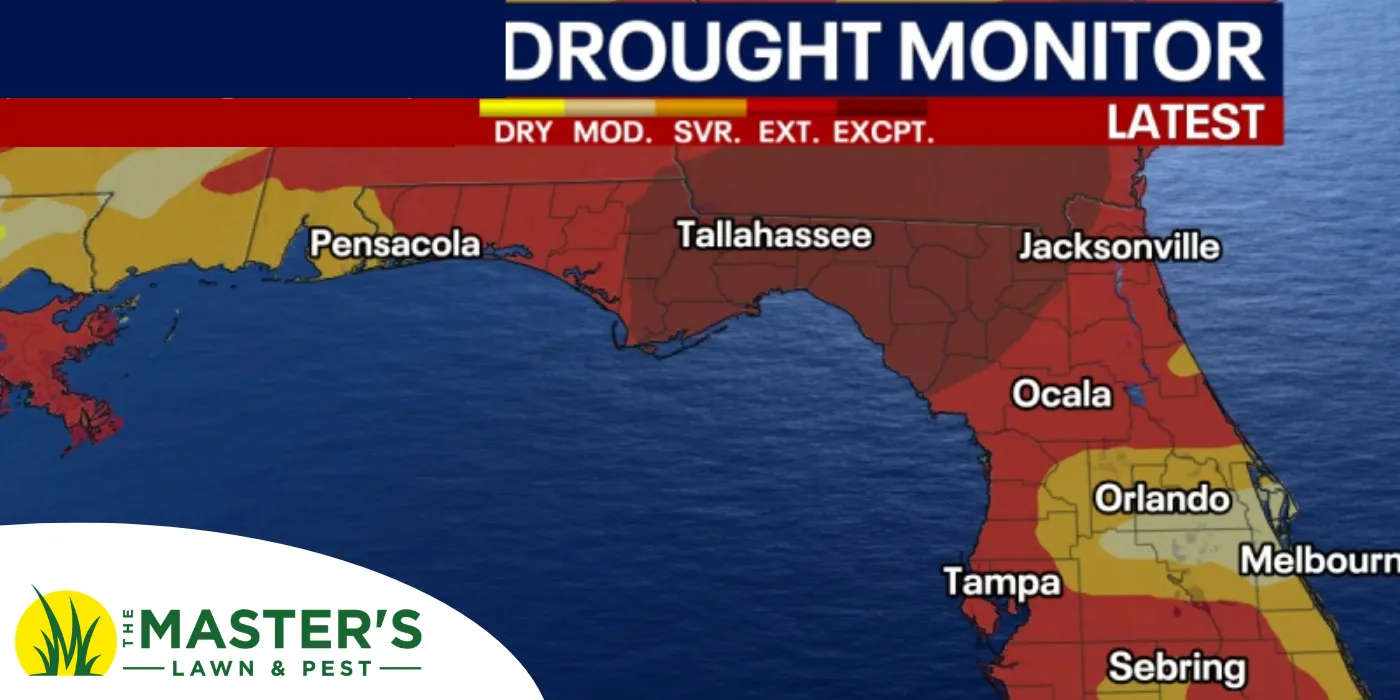 Florida Drought Monitor Image