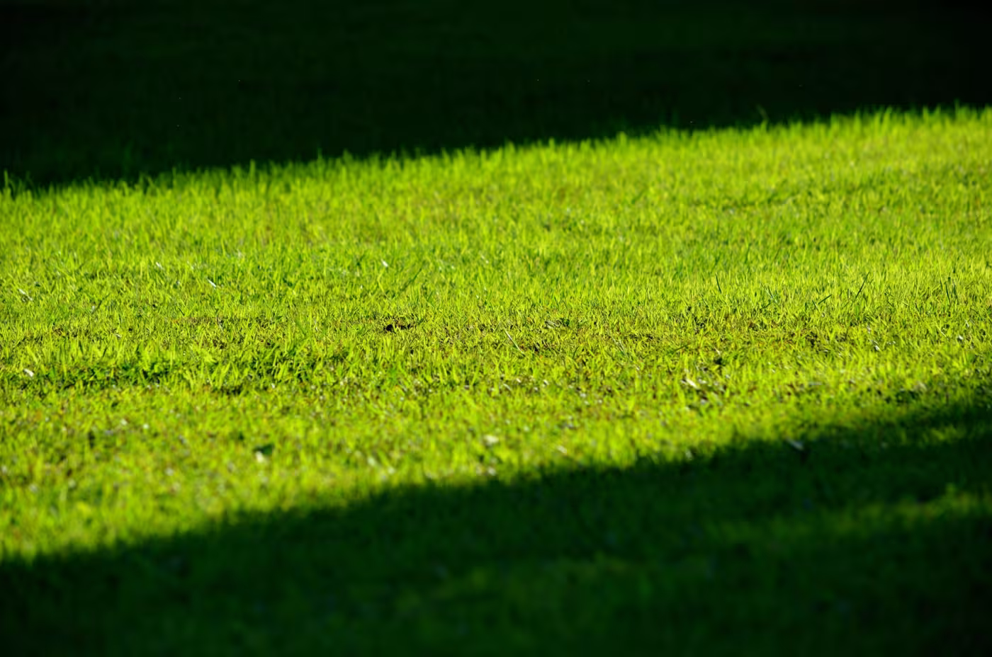 Lawns