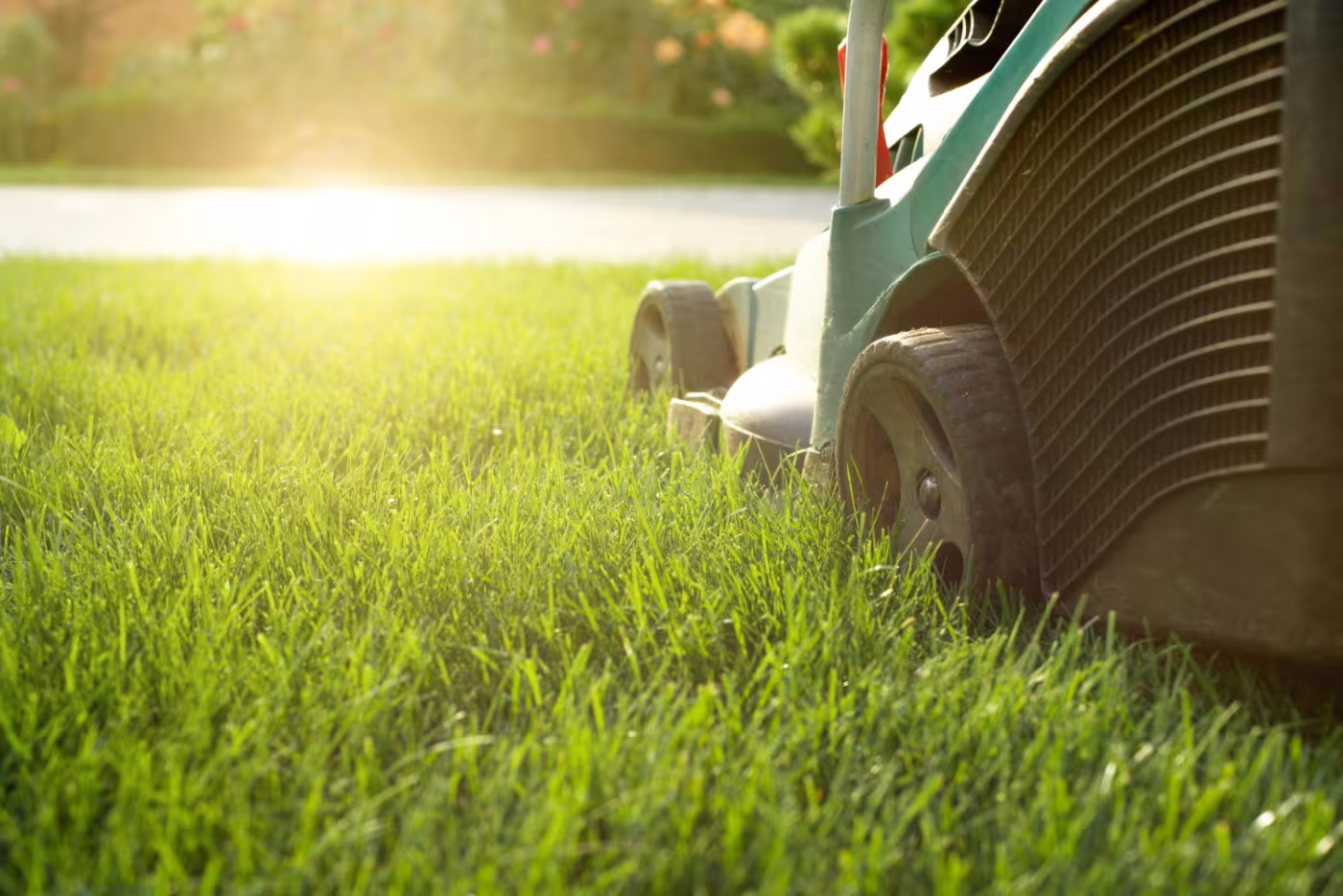 lawn care